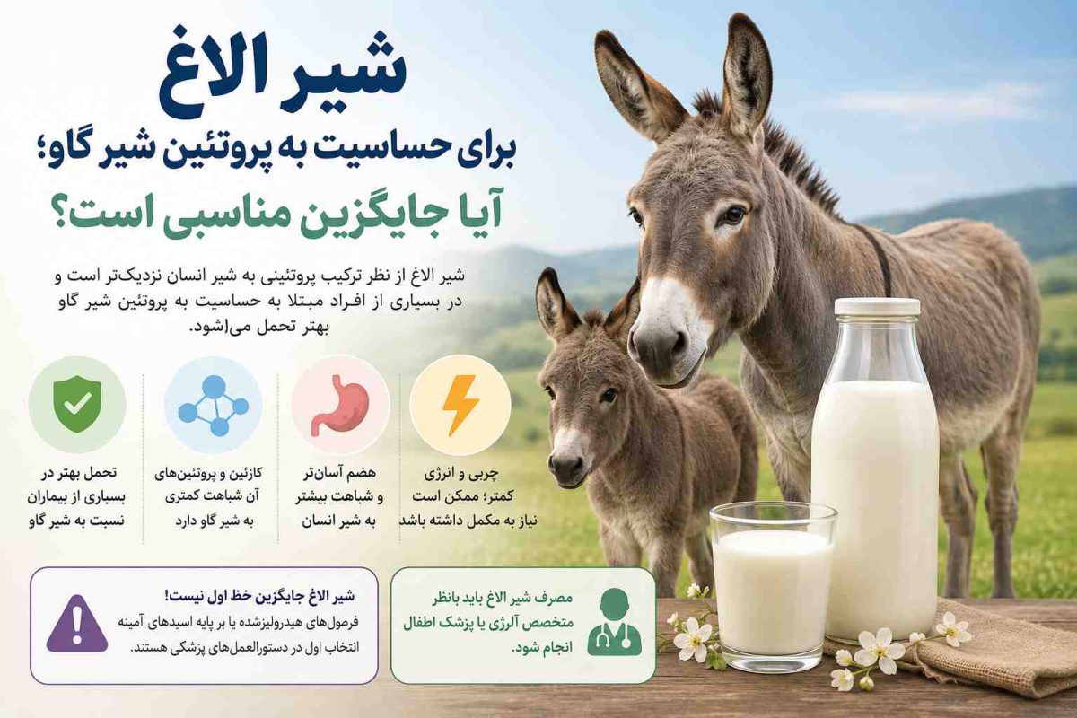 شیر الاغ 