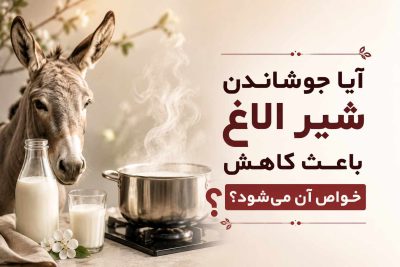 آیا شیر الاغ را باید جوشاند؟